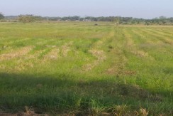 8,751 SQM Farm Land in Brgy. Fugo, Echague, Isabela!