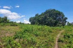 LOT PROPERTY IN  SIBULAN, NEGROS ORIENTAL