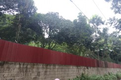 For Sale Farm lot with Vacation House in Brgy. Pinugay, Baras