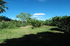 FOR SALE: FARM LOT ALFONSO CAVITE