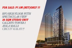 28 SQM Callisto Tower 1 Studio Unit, Ayala Malls Circuit Makati