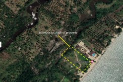 5000 Sqm Vacant Beach Front Lot in PP, Palawan for Sale !