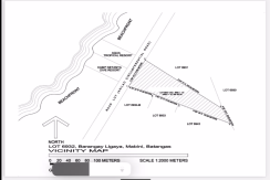 FOR SALE! 9,710 sqm Vacant Lot near Beach Area in Mabini Batangas